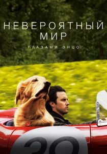 Невероятный мир глазами Энцо (Фильм 2019) скачать торрентом